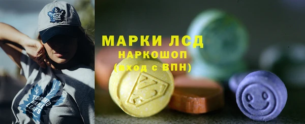 мдпв Магас