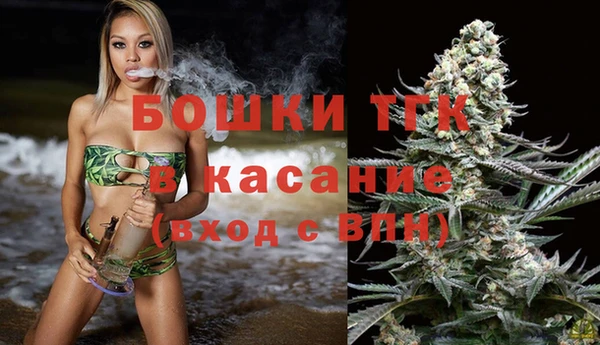 дживик Липки