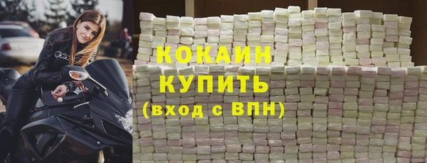 шишки Магадан