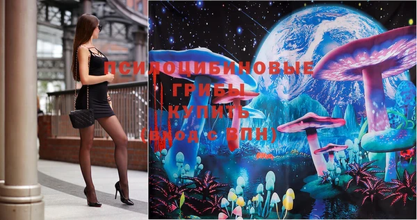 шишки Магадан