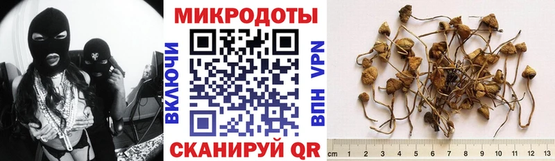 где купить   Сухиничи  Галлюциногенные грибы мицелий 